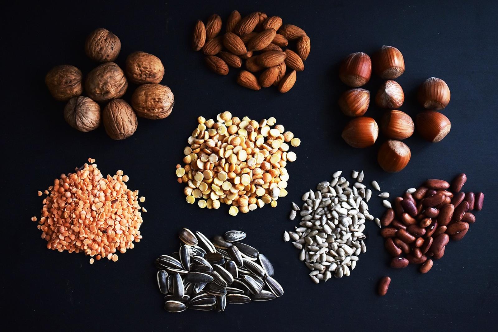 Una Dieta Per L Antropocene Scienza In Rete